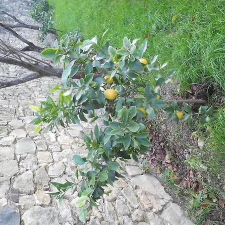 Appartamento Casa Maya